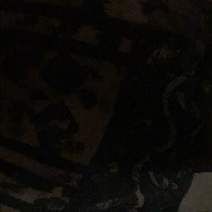 Meet your Posher, Jaylen